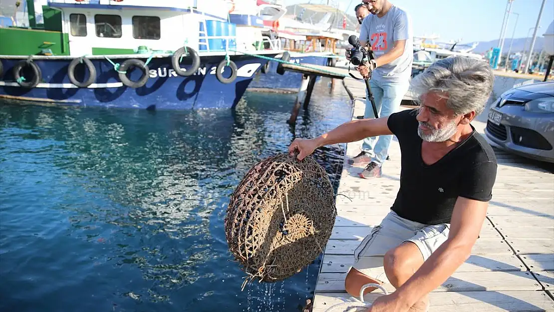 Bodrum'da yeni av sezonunun açılışında denize 30 bin yavru balık bırakıldı