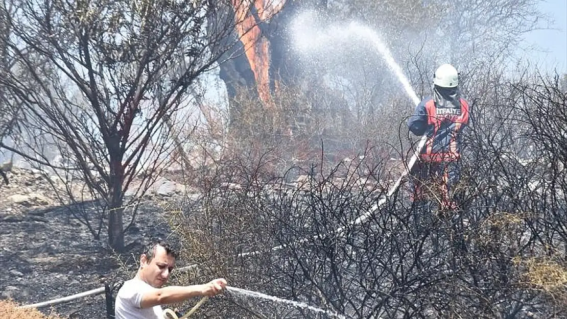 Bodrum'da yerleşim yeri yakınındaki zeytinlik ve makilik alanda çıkan yangın söndürüldü