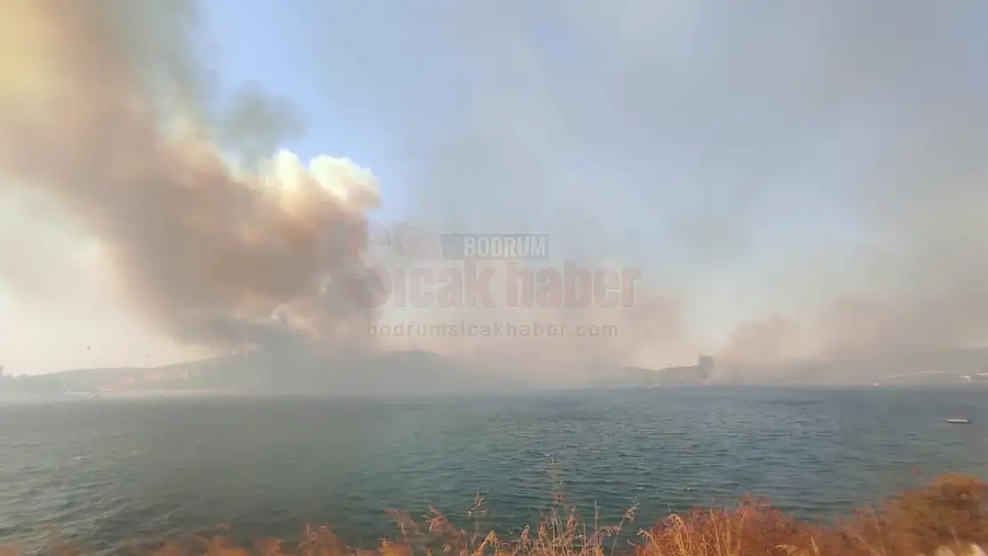 Bodrum'daki orman yangınıyla ilgili soruşturma başlatıldı