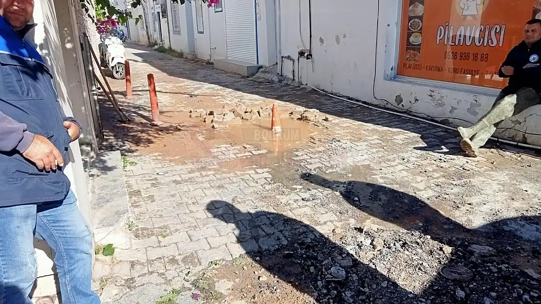 Bodrum'un Bitmek Bilmeyen Patlak Çilesi