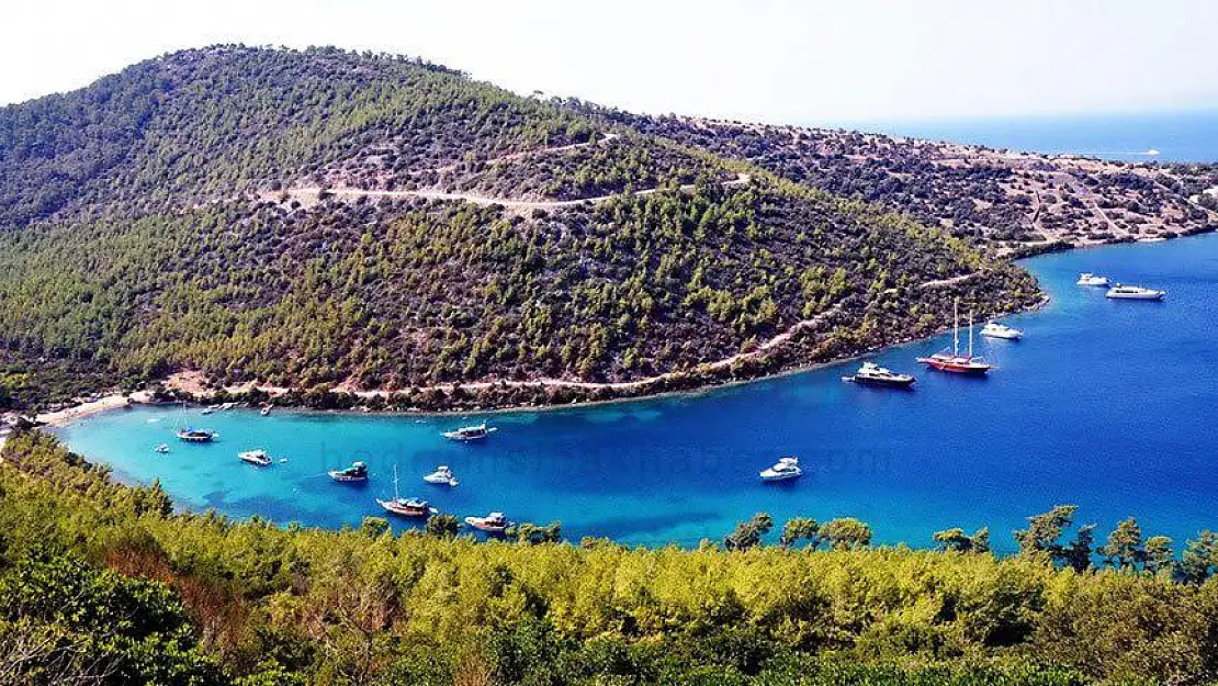 Büyükşehir Belediyesinin Çevre Dava Sayısı 135'e Çıktı