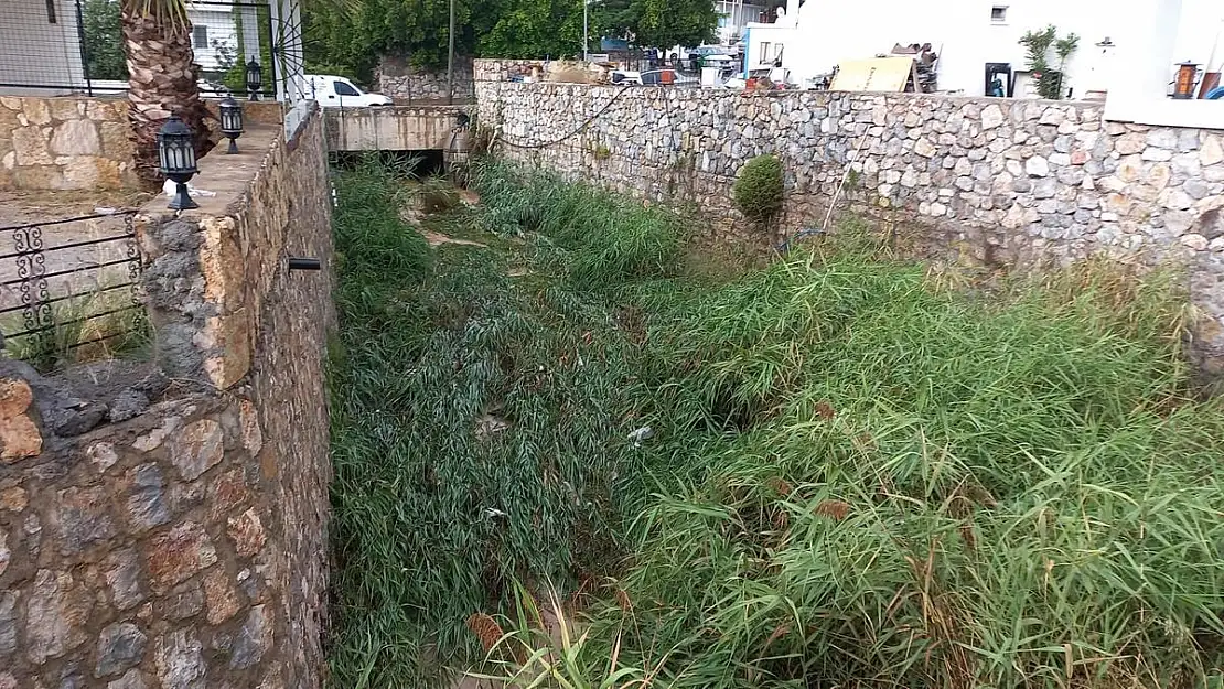 Büyükşehir Bodrum'un Hiç Bir Yerinde Yeterli Hizmeti Veremiyor
