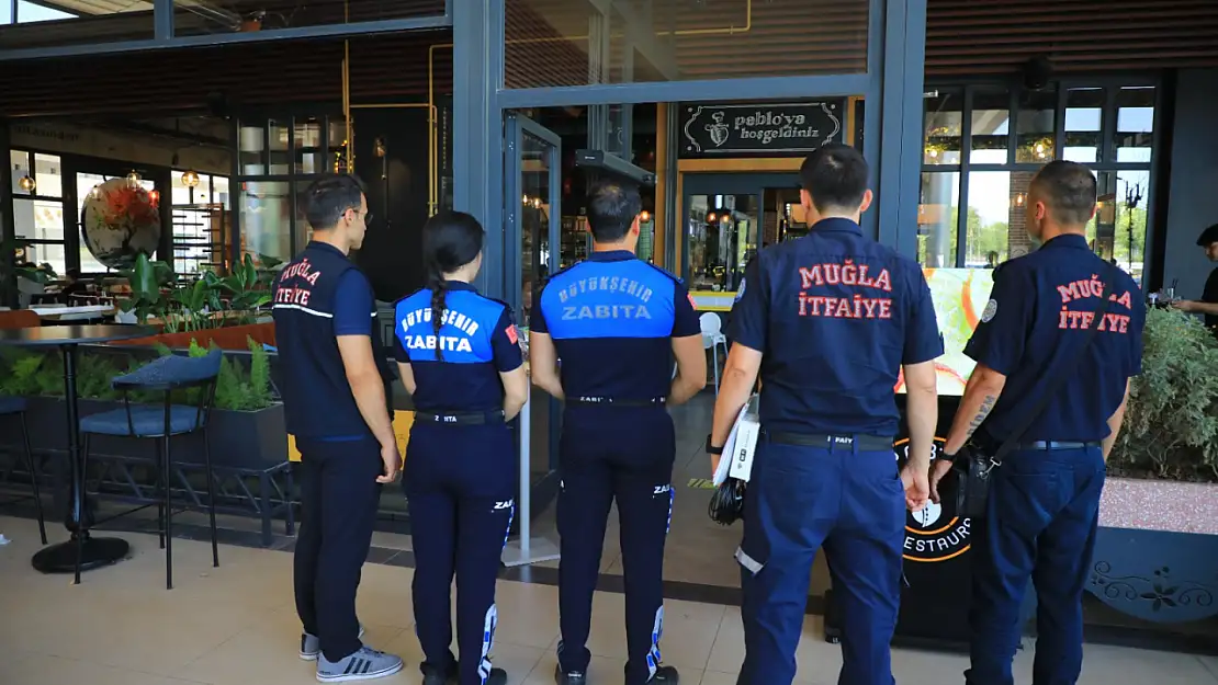 Büyükşehir'den koordineli mücadele