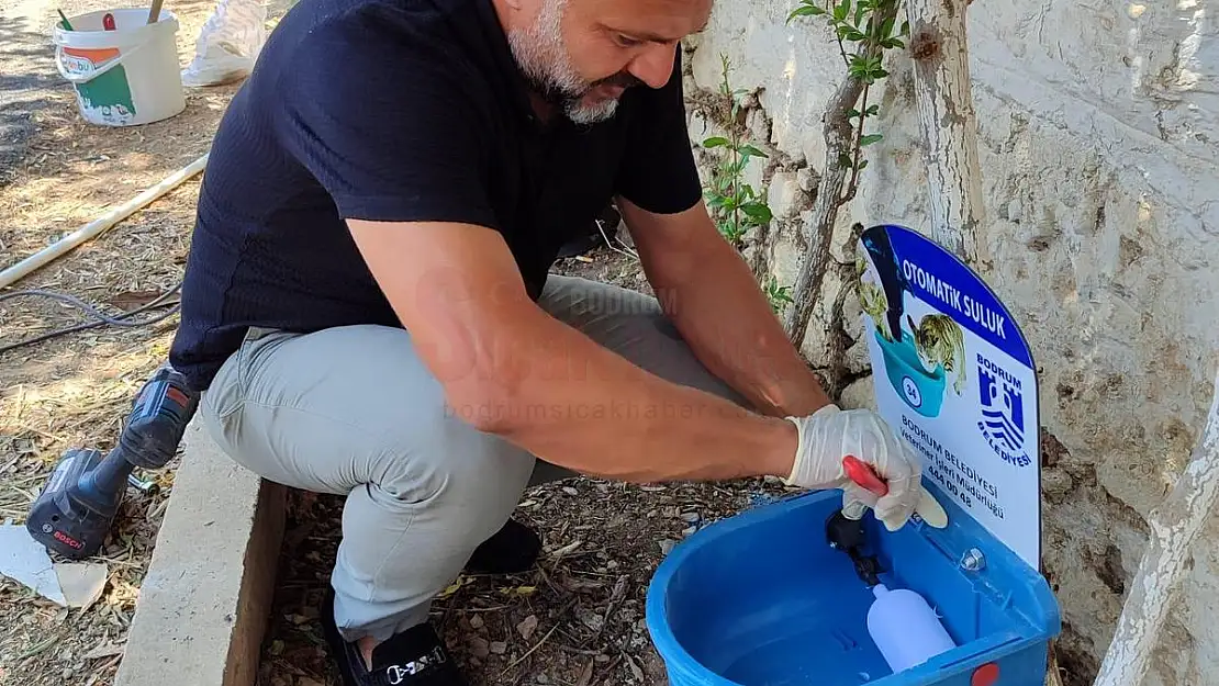 Can Dostlar İçin Çalışıyorlar