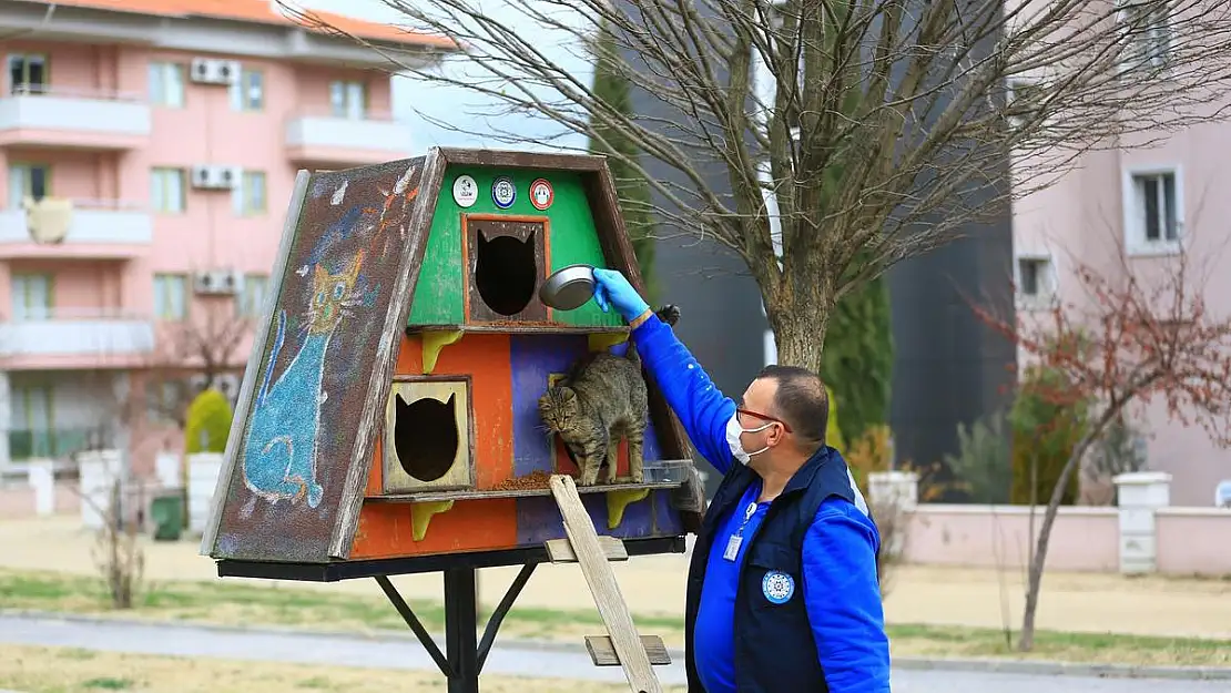 Candostlar İçin Mama Üretimine Devam Ediliyor