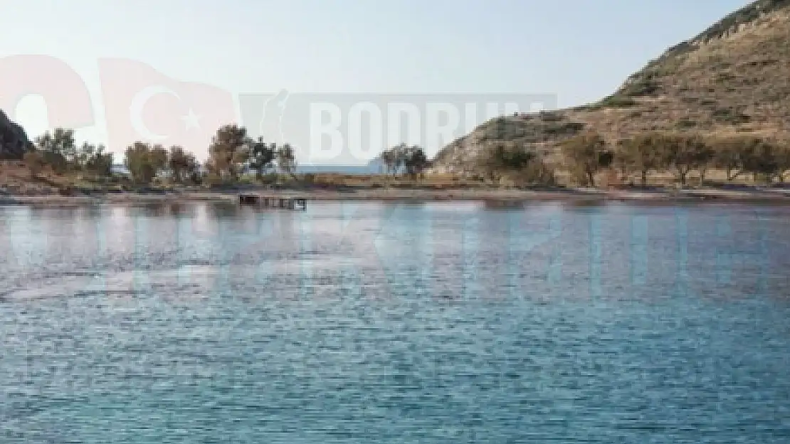 Çatal Adasında Bir Erkek Cesedi Bulundu