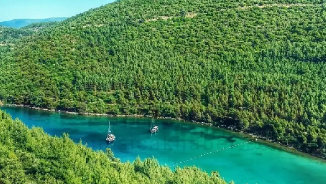 Cengiz Holding'den Açıklama 'Bodrum Belediyesi Hukuk Dışı ve Siyasi Bir Karar Almıştır'