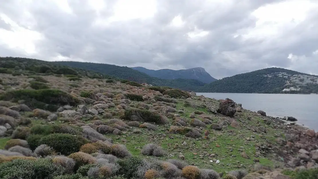 Cennet Koyu ile İlgili Cengiz İnşaat'tan Basın Açıklaması Yapıldı