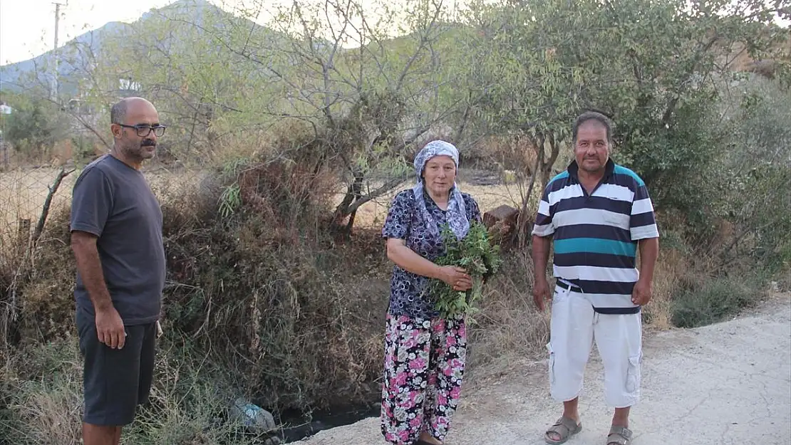 Çevre Kirliliğine Neden Olan Lağım Suları Tepki Çekiyor