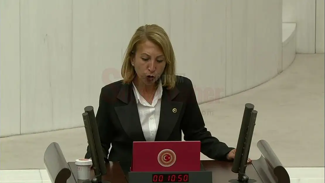 CHP Milletvekili Süreyya Öneş Derici TBMM Önemli Teklifler Sundu