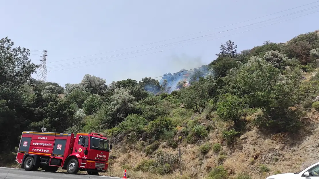 Dağbelen Değirmenler Mevkiinde Otluk ve Ağaçlık Alan Alevlere Teslim