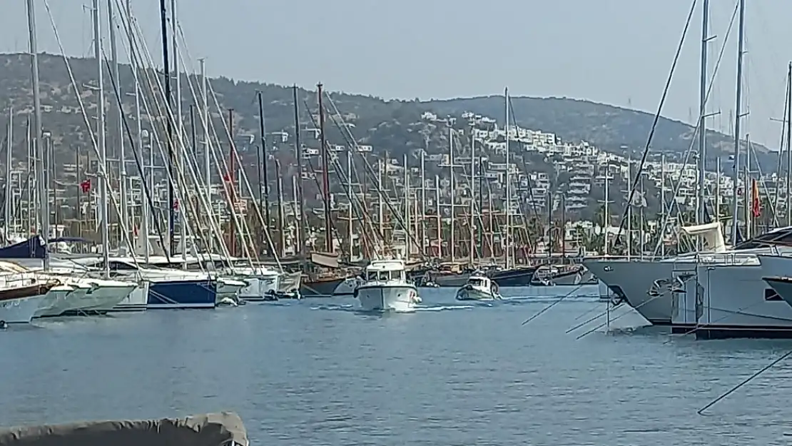 Denizde Arı Sokması Sebebi ile Yaşamını Yitirdi
