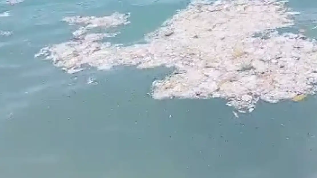 Denizleri Çöplüğe Çevirdiler