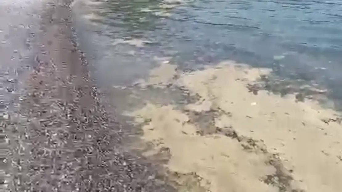Denizleri ellerimizle kirletiyoruz