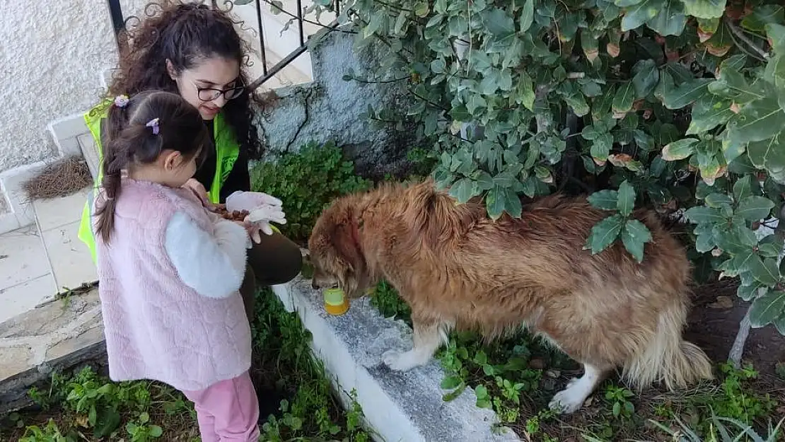 Depremden Kurtulan Ege'nin Hayvan Sevgisi
