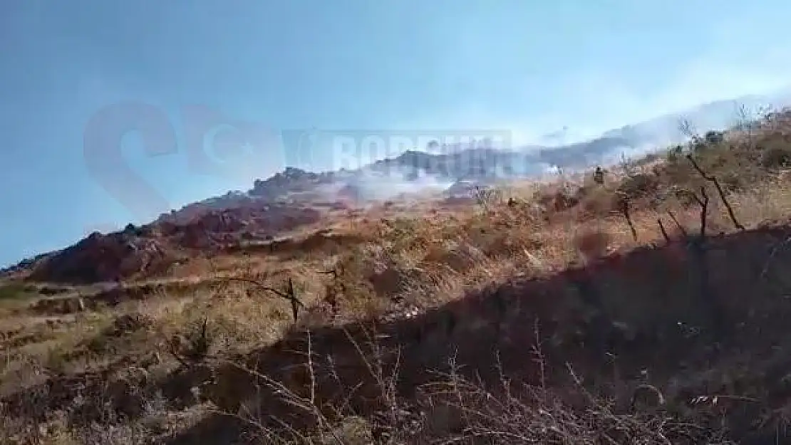 Dereköy'de Dağlık ve Makilik Alanda Yangın Başladı