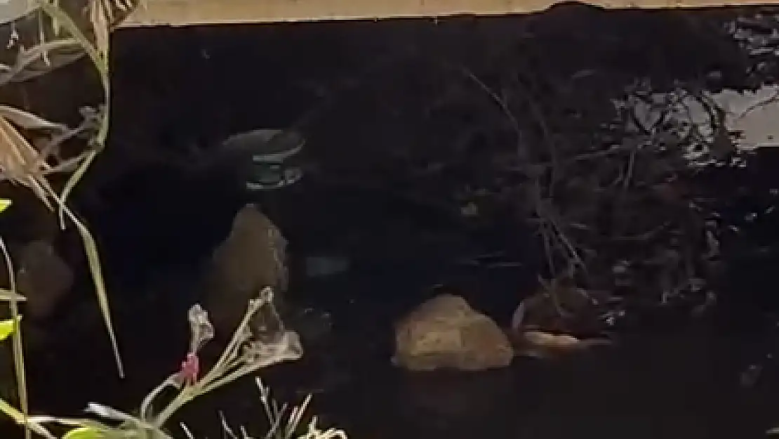 Derelere Bırakılan Atık Sular Çevredekileri Mağdur Ediyor