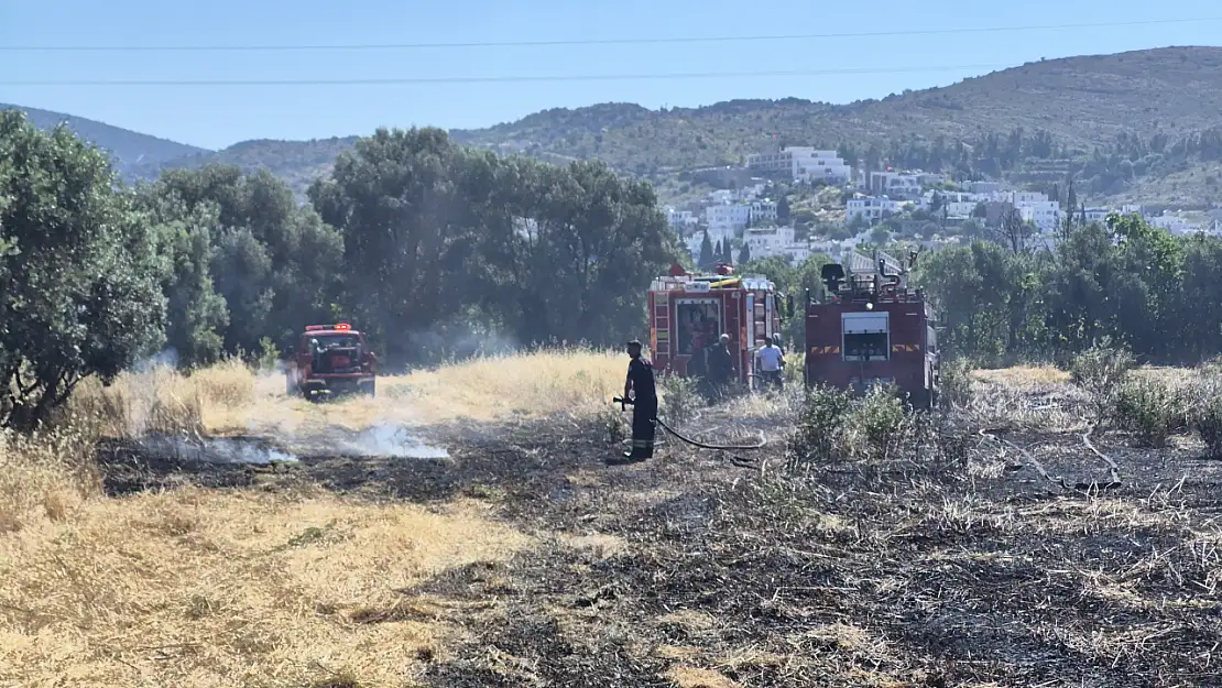 Develer için ot yetiştirilen arazi yandı