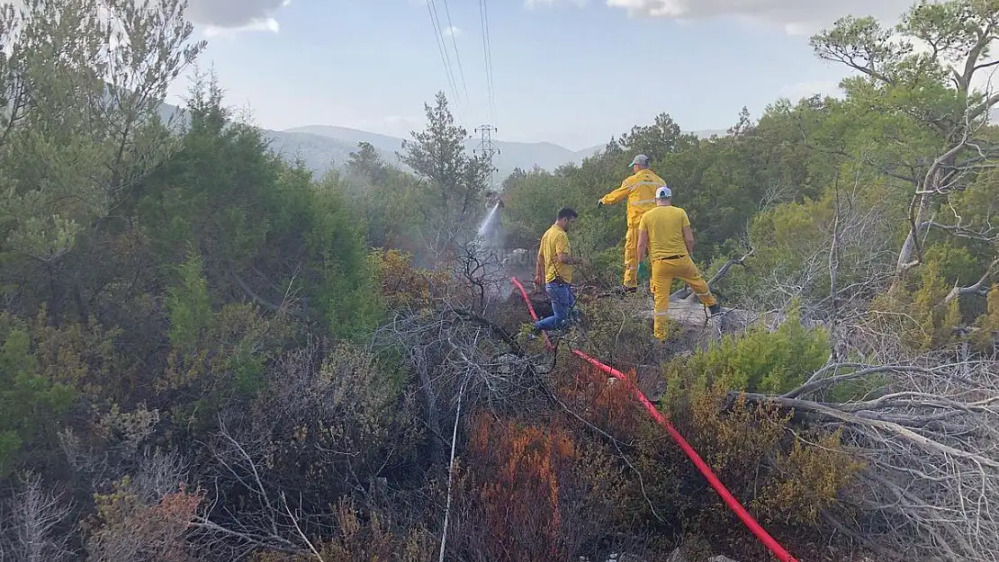 Ekipler Yangın Bölgesine 1500 Metre Hortum Çekerek Müdahale Etti