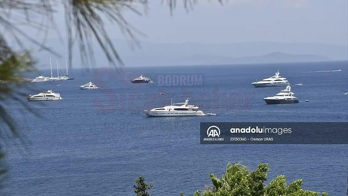 El değmemiş koyların 'milyon dolarlık' misafirleri denizlere renk kattı
