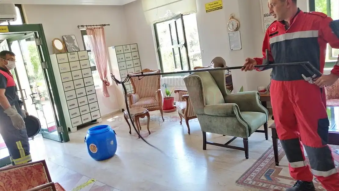 Fethiye'de otele, Bodrum'da eve giren yılanlar itfaiye ekiplerince yakalanarak doğaya salındı