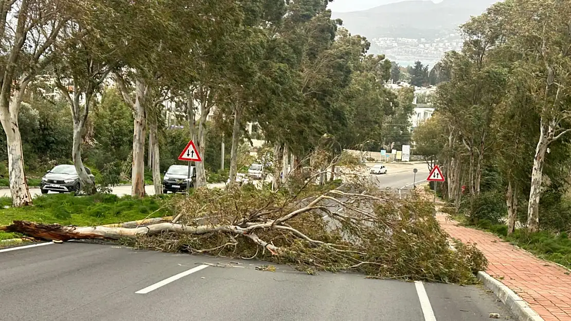 Fırtınalı hava yolda tehlike yarattı