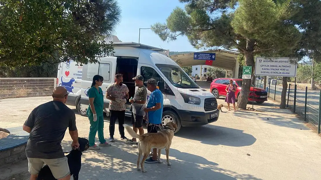 Gezici Sağlık Aracı Hizmeti, sokak Hayvanlarının Sağlık İhtiyaçlarına Yönelik Önemli Bir Adım