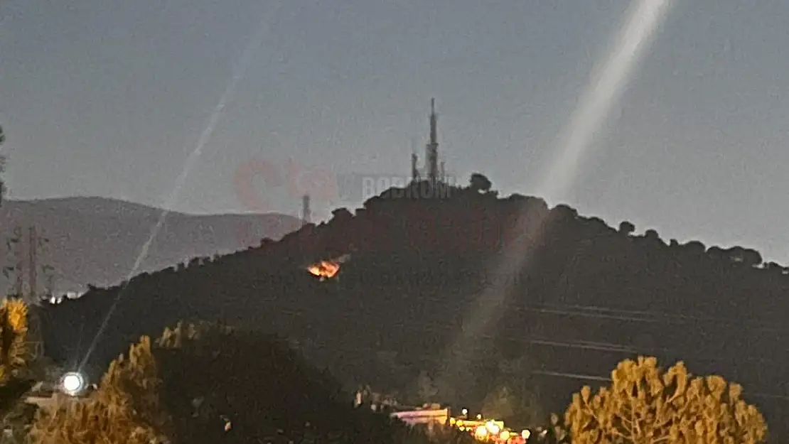Göktepe Mevkiinde Yangın Çıktı