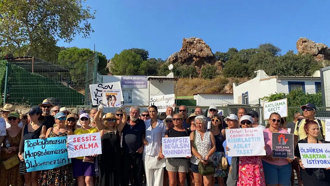 Gümüşlük Forumu Barınak Gezdirme Grubu'ndan belediye ve veteriner işlerine çağrı: 'tamam değil, devam!'