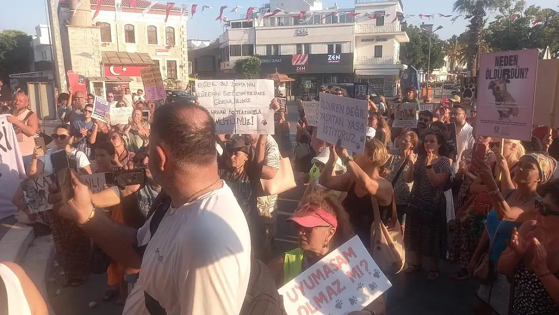 'Hayvan Hakları Savunucularından Çağrı: 'Hayvan Yasa Tasarısı Geri Çekilmeli''