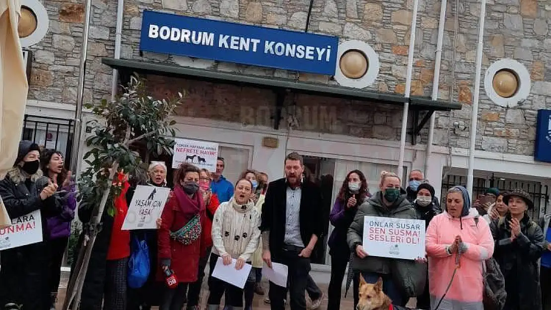 Hayvan Severler Sokak Hayvanları İçin Basın Açıklaması yaptı