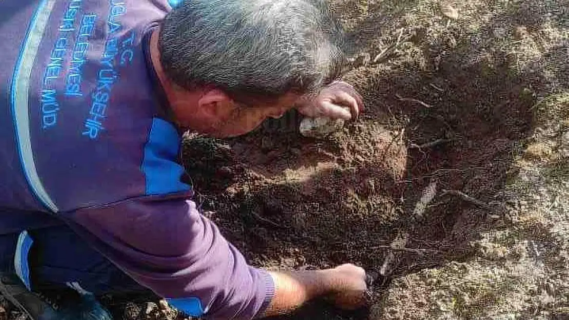 İl Genelinde Su Gözleri Temizlendi