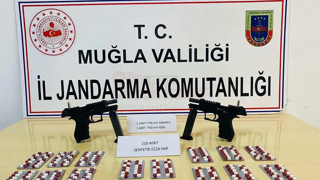 Jandarma Ekiplerinin Yaptığı Operasyonda  210 Adet Hap ve Çeşitli Silahlar Ele Geçirildi
