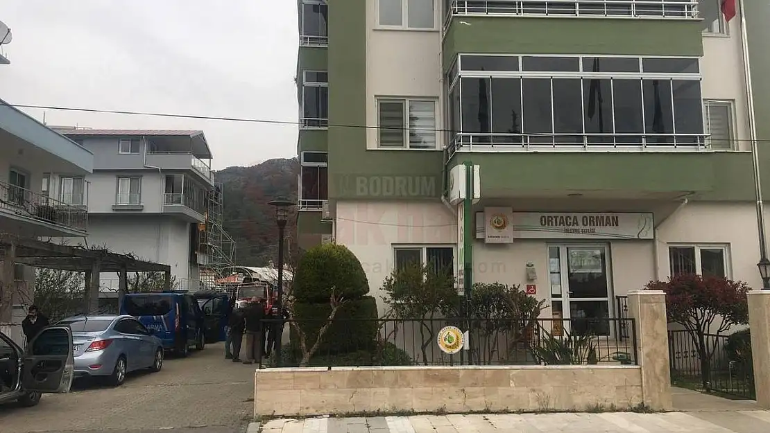 Jandarmanın 'Ormancı' Operasyonunda Gözaltı Sayısı 25'e Yükseldi
