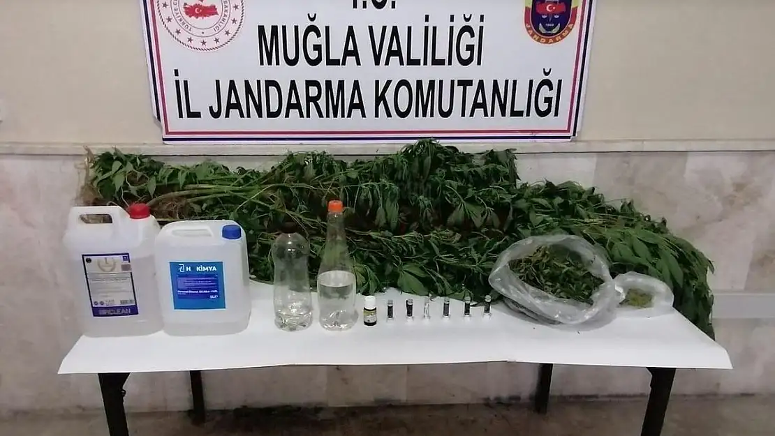 Kaçak İçki, Kenevir ve Uyuşturucu Madde Ele Geçirildi