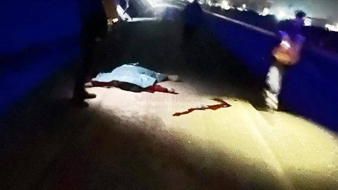 Kamyonetin Çarptığı Vatandaş Hayatını Kaybetti