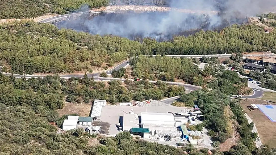 Kaplankaya Mevkiinde Çıkan Yangına Havadan ve Karadan Müdahale Ediliyor