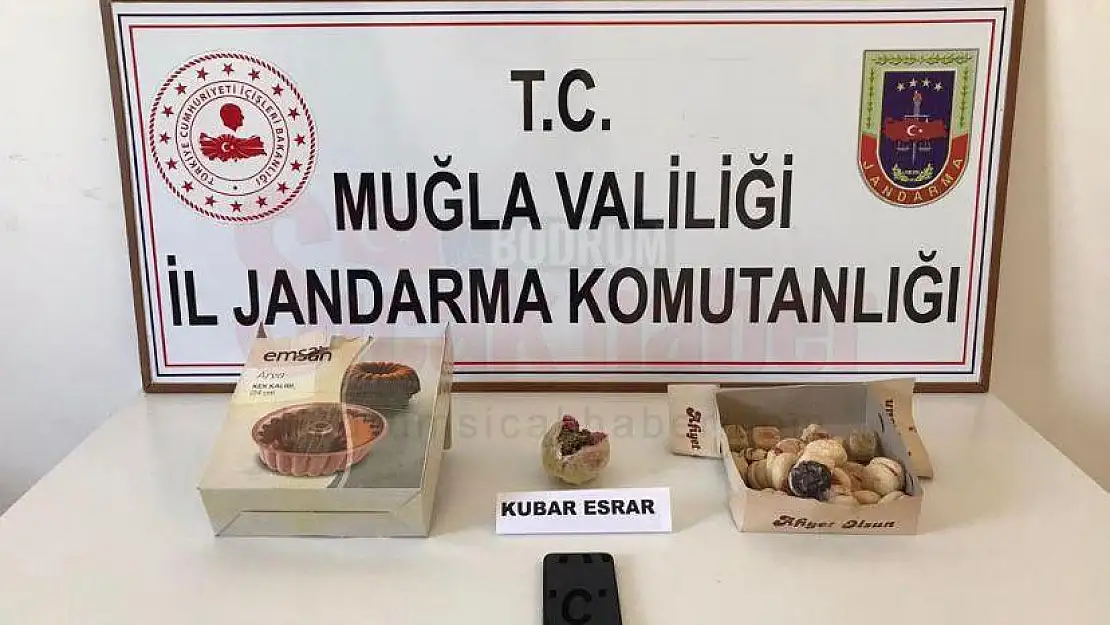 Kargo ile Uyuşturucu Temin Eden Kişi Yakalandı
