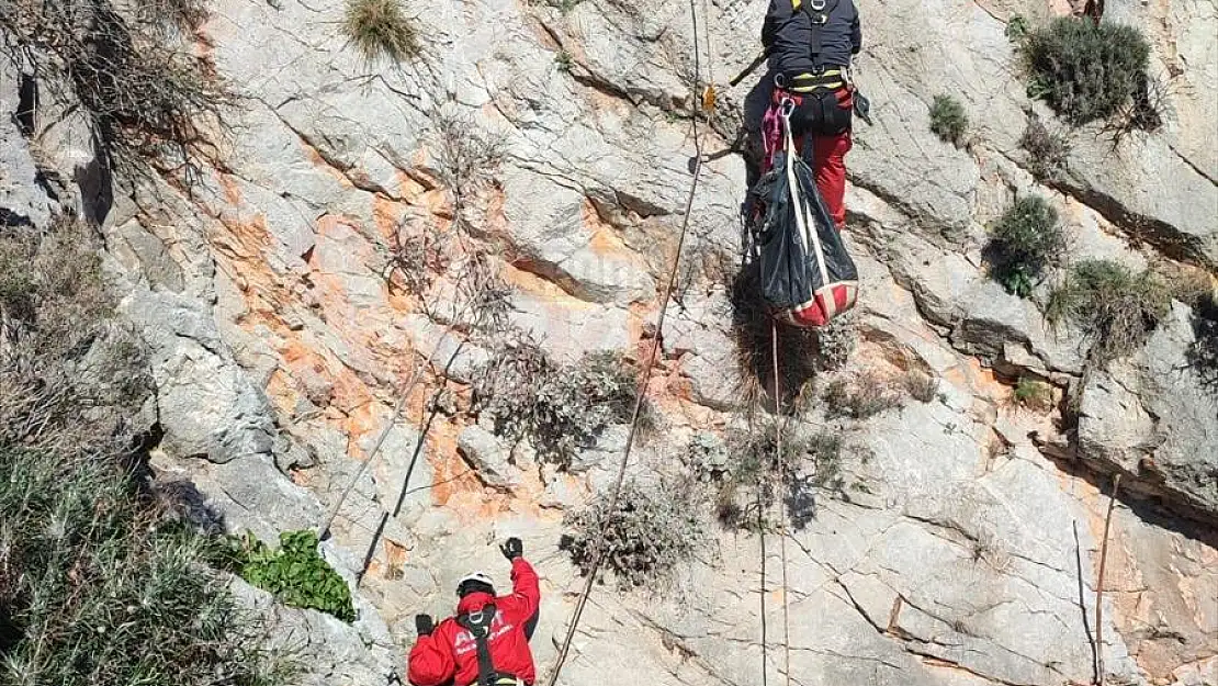 Kayalıklarda Mahsur Kalan Oğlak ve Keçiler Kurtarıldı