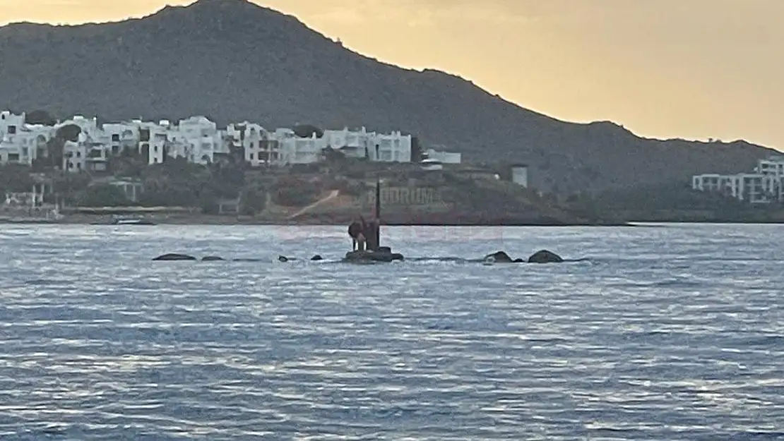 Kayalıklarda Mahsur Kaldılar