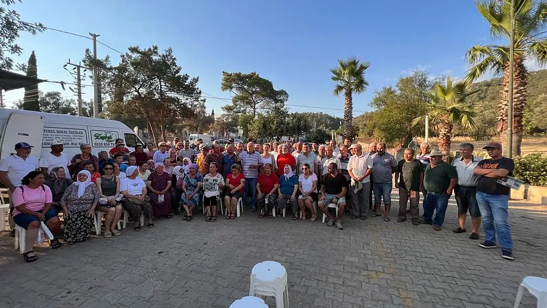 Kızılağaç Ormanları, Zeytinleri Yok Olmamak İçin Bodrum'da Destek Bekliyor