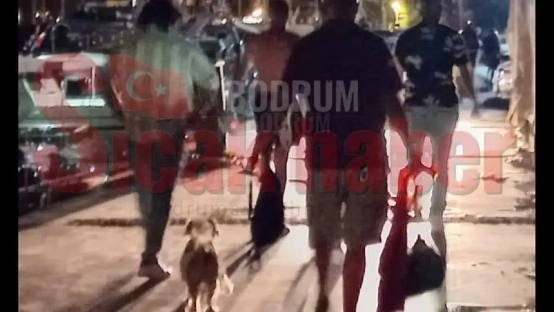 Köpeğe Tekme Atıp Sahibini Bıçakladı!