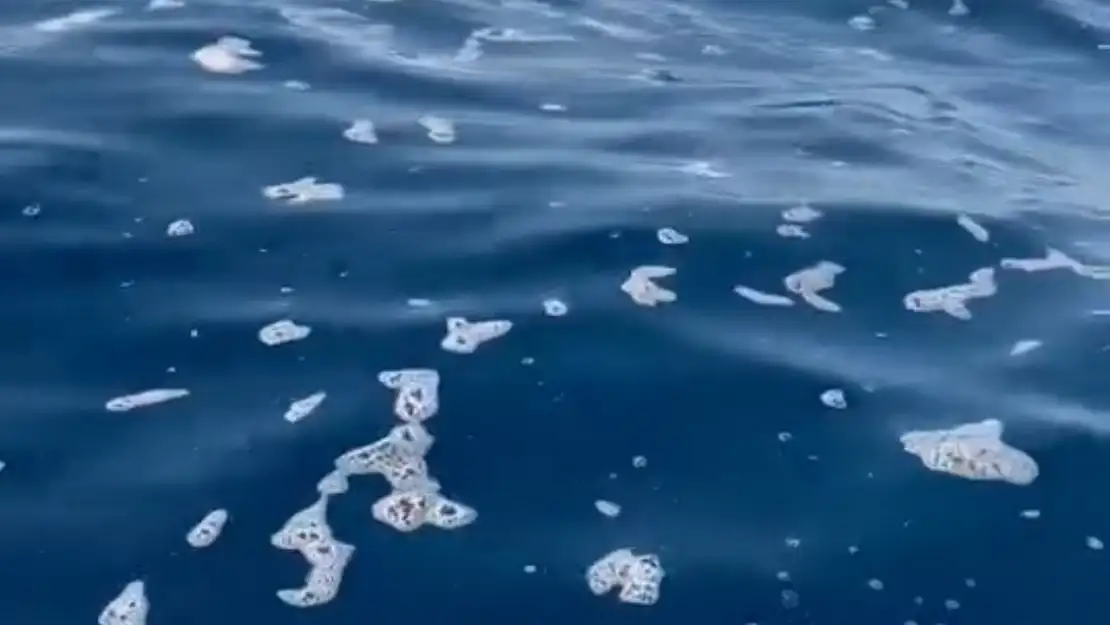 Köpükleşmiş deniz tepki çekti ! Bu kriz ne zaman son bulacak !?