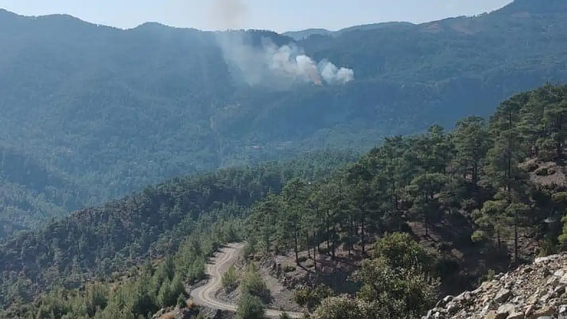 Köyceğiz'de Orman Yangını