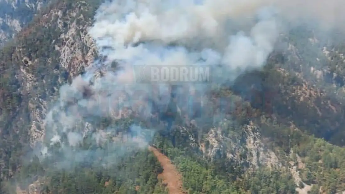 Köyceğiz'de orman yangını başladı