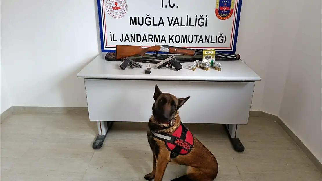 Köyceğiz'de ruhsatsız silah bulunduran şüpheli gözaltına alındı