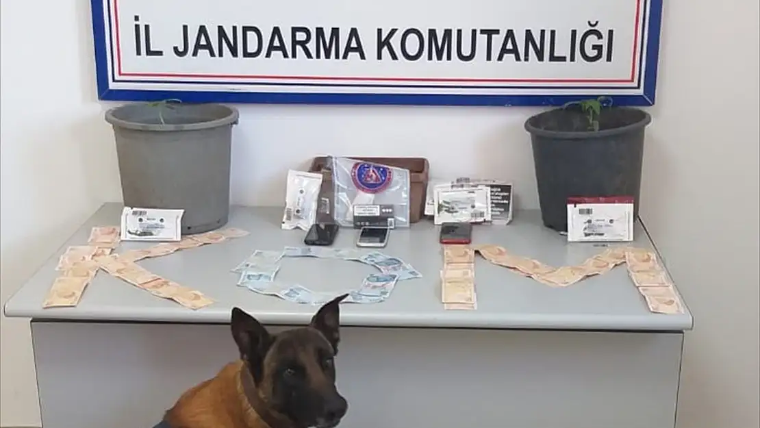 Köyceğiz'de uyuşturucu operasyonunda 4 şüpheli yakalandı