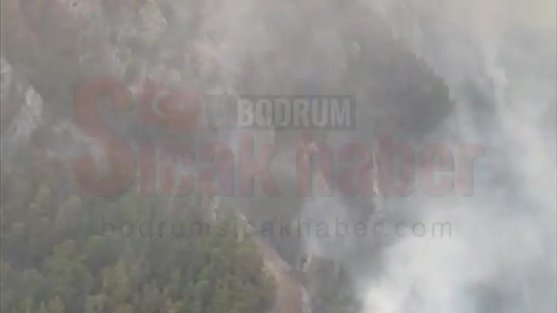Köyceğiz'deki orman yangını kontrol altına alındı