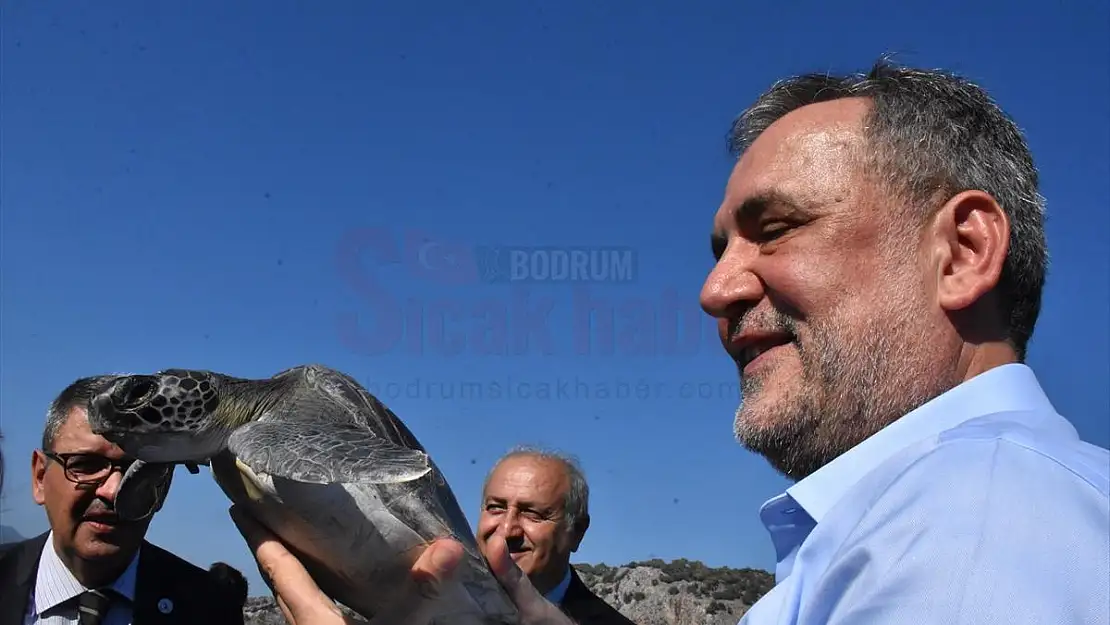 Küresel Isınma Yüzünden Caretta Carettaların Güzergahı Değişti