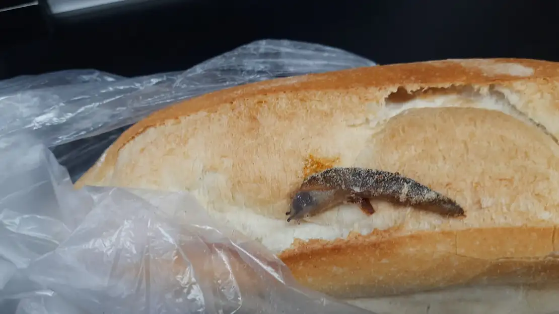 Market ekmeklerinde sümüklüböcek skandalı
